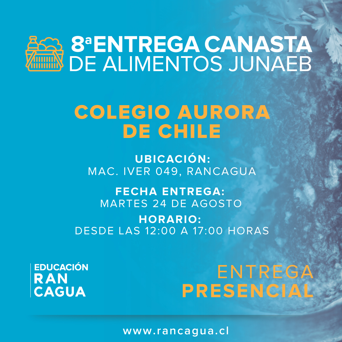 8va Entrega de Canastas JUNAEB