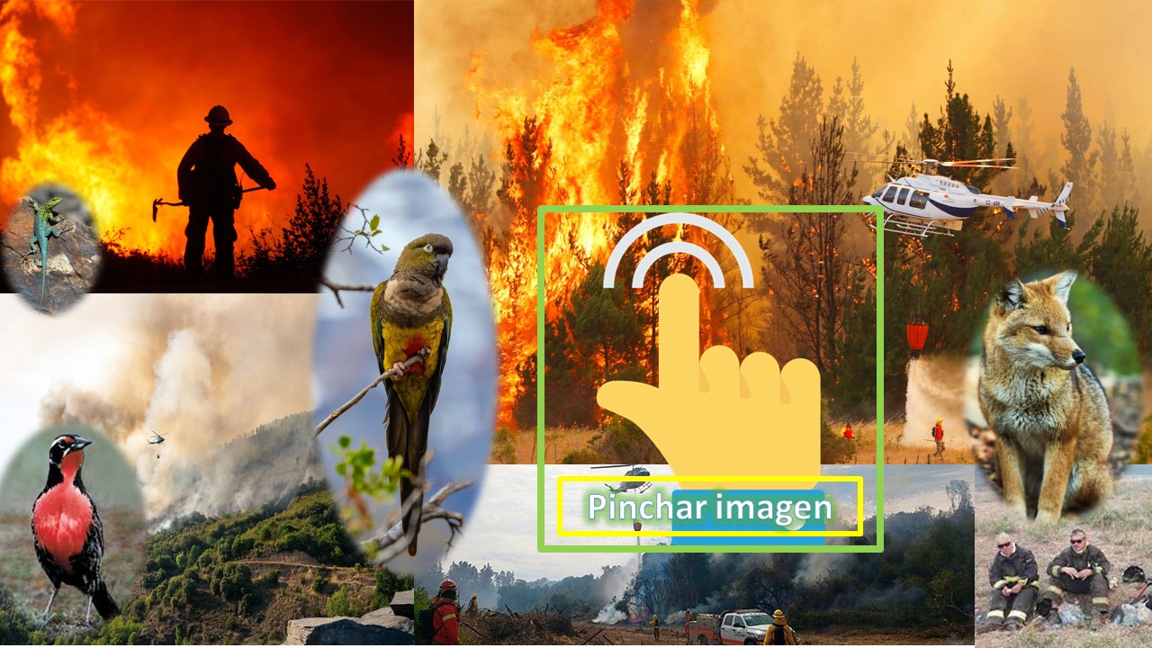 Biodiversidad