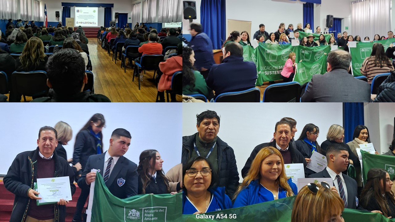 Certificación ambiental 2024